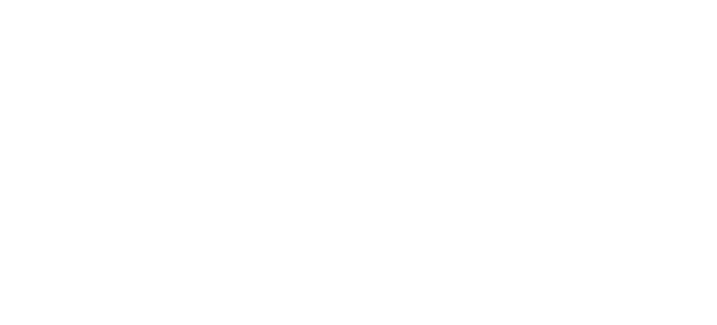 Dudelicia Logo